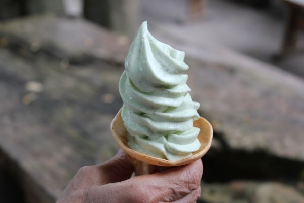 Daio Wasabi Farm wasabi ice cream