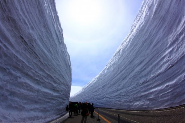 Snow-Corridor-Tateyama-Kurobe-Alpine-Route