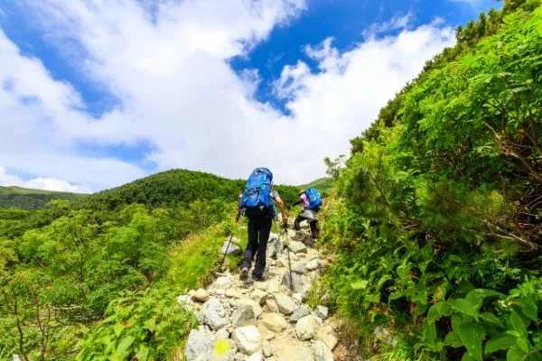 tateyama kurobe alpine route tour from nagano