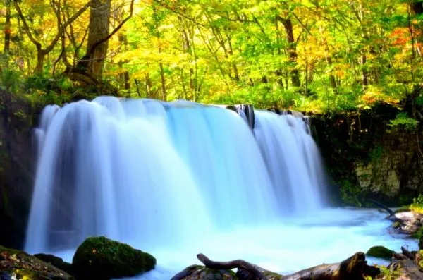 Choshi Falls Oirase Gorge Aomori Japan