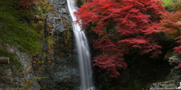 Minoh Park – The Beautiful Nature Park in Osaka Minoo-Falls-Autumn-Minoh-Park-Osaka