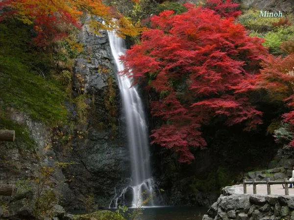 Minoo-Falls-Autumn-Minoh-Park-Osaka