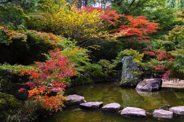 Miyama-Park-Autumn-Foliage-Tamano-Okayama-Japan