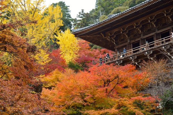 Mt-Shosha-Engyoji-Temple-Autumn-2