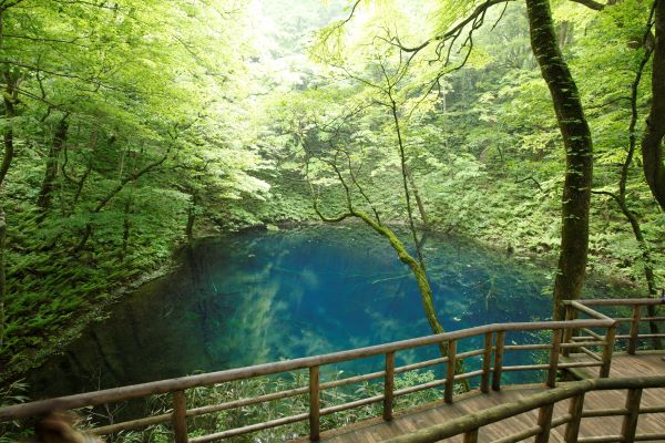 Aoike-Pond-Shrakami-Sanchi-Japan
