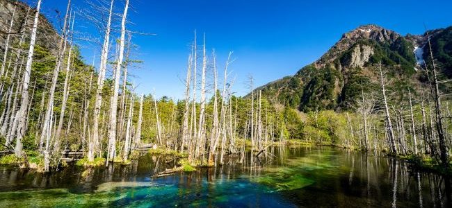 The Best Guide to Chūbu Japan’s Discounted Transportation Deals Dakesawa-Marsh-Kamikochi-Nagano-Japan