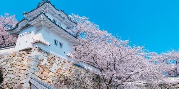 Tatsuno City – The Perfect Place to Enjoy the Four Seasons Tatsuno-Castle-Tatsuno-Hyogo-Japan-1