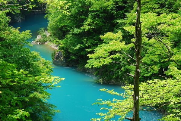 Dakigaeri-Gorge-Akita-Japan