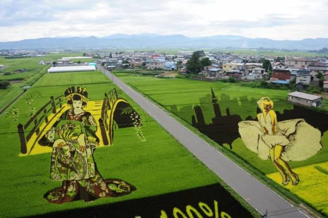 Inakadate-Village-Rice-Field-Art-First-Venue-Hirakawa-Aomori-Japan