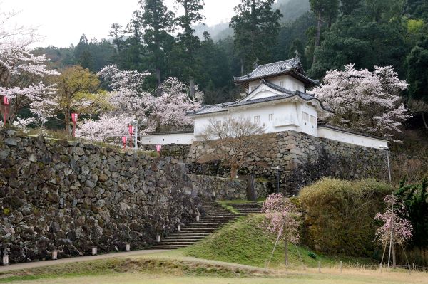 Izushi-Castle-Ruins-Turret-Toyooka-Hyogo-Japan