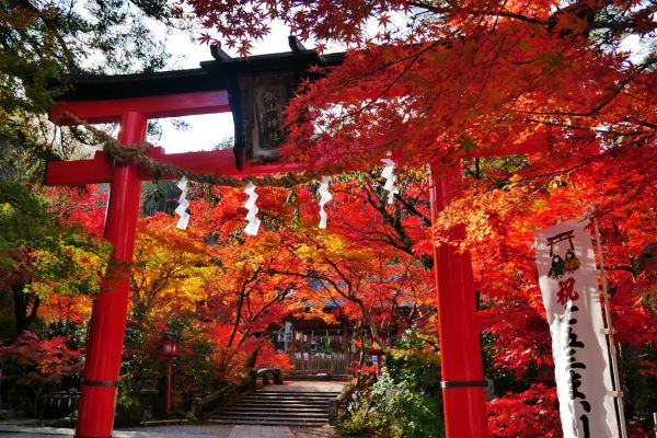 Kuwayama-Shrine-Kameoka-Kyoto-Japan