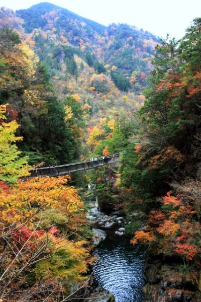 Mitarai-Valley-Aiden-Bridge-Autumn-Yoshino-Nara-Japan