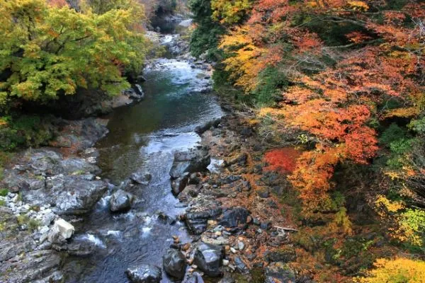 Mitarai Valley: One of the Most Stunning Valleys in Kansai