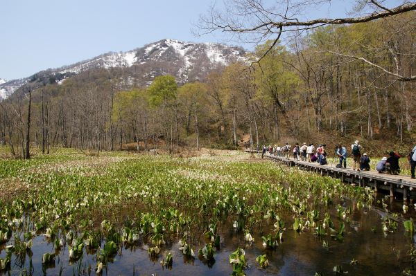Okususobana-Natural-Garden-Nagano-Japan