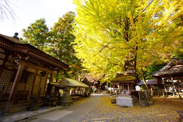 Iwama-dera-Autumn-Otsu-Shiga-Japan