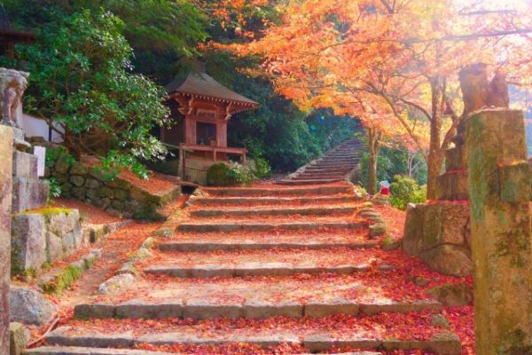 Miyajimas-Autumn-Foliage-Japan