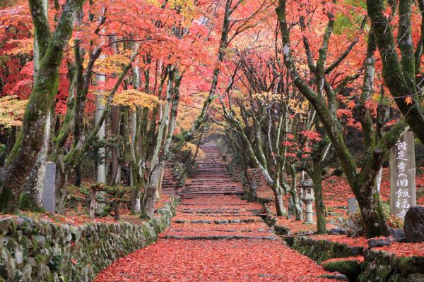 Keisoku-ji-Approach-Nagahama-Shiga-Japan