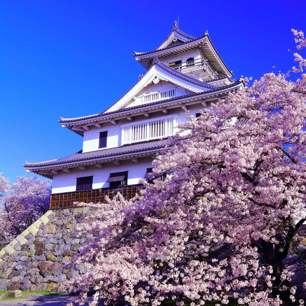 Nagahama-Castle-Historical-Museum-Nagahama-Shiga-Japan-1
