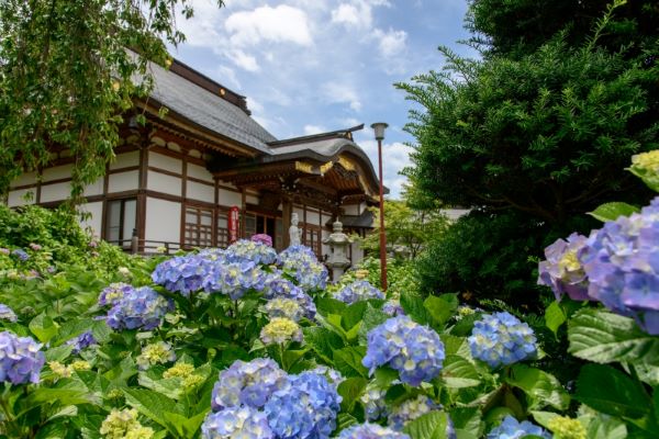 Hosenji-Temple-Matsumoto-Nagano-Japan