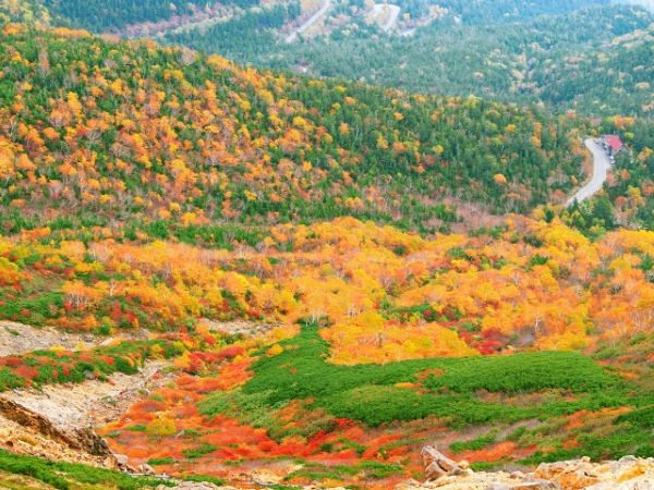 Norikura-Plateau-Fall-Matsumoto-Nagano-Japan