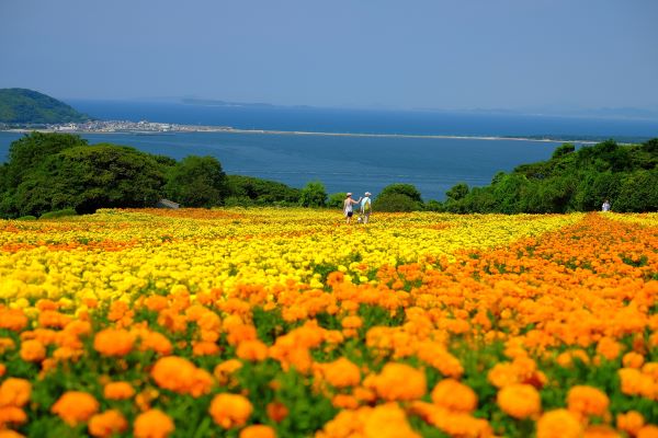 Nokoshima-Island-Park-Fukuoka-Japan