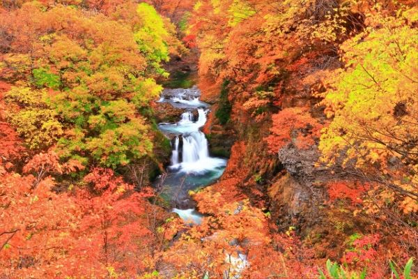 Homeishijuhachi-Falls-Autumn-Sendai-Miyagi-Japan