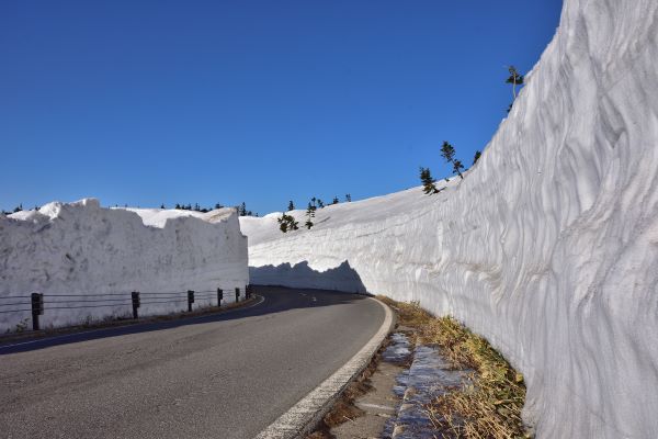 Shiga-Kusatsu-Kogen-Route-Snow-Corridor-Kusatsu-Onsen-Gunma-Japan