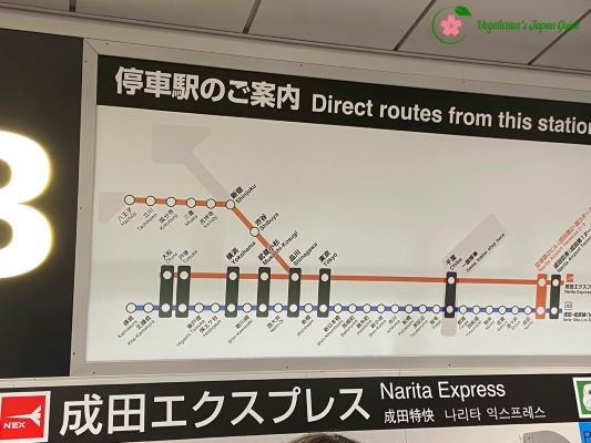 The Best Guide on How to Get from Narita Airport to Tokyo