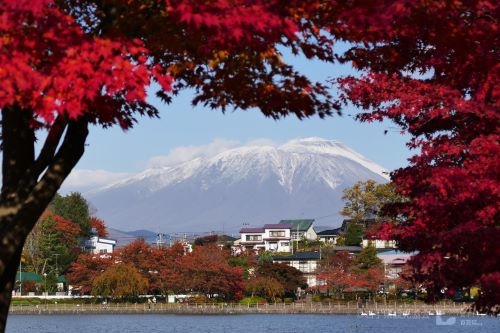 Autumn-Foliage-at-Takamatsu-Park-Morioka-Iwate-Japan