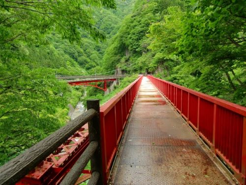 Bridge-for-Monkeys-on-Yamabiko-Promenade-Unazuki-Onsen-Kurobe-Toyama-Japan