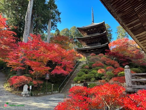 Jorakuji-Three-Story-Pagoda-Konan-Shiga-Japan