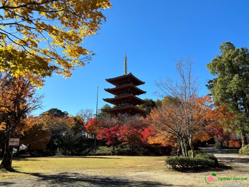 Nariaiji-Temples-Five-Story-Pagoda-Amanohashidate-Miyazu-Kyoto