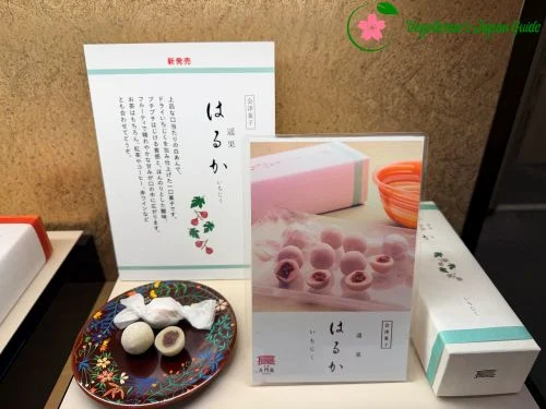 Nagatoya Top Seller Bite-Size Fig Traditional Sweets, Haruka