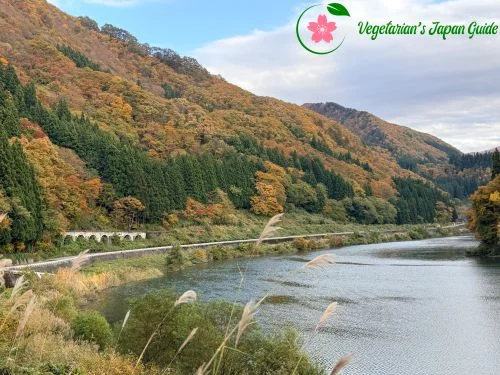 Hosogoe Arch Bridge on the Tadami Line With Autumn Foliage in Kaneyama Fukushima Japan