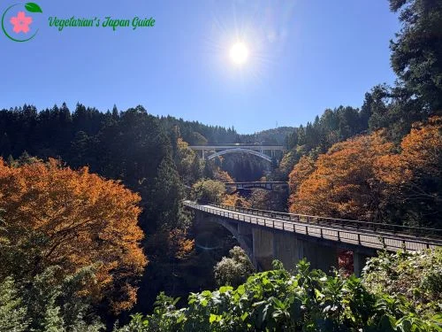 The Three Arch Bridges from Miyashita Arch Sankyodai Bridges Viewpoint Near JR Aizu Miyashita Station in Fukushima Japan