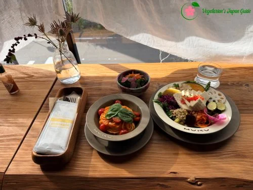 The Vegan Pasta and Tofu Salad Bowl at MUKU in Sendai Japan