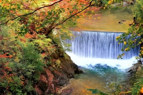 Autumn Foliage and the River Weir Along Naruko Gorge Walking Trail Near Kaiko Bridge in Osaki Miyagi Japan