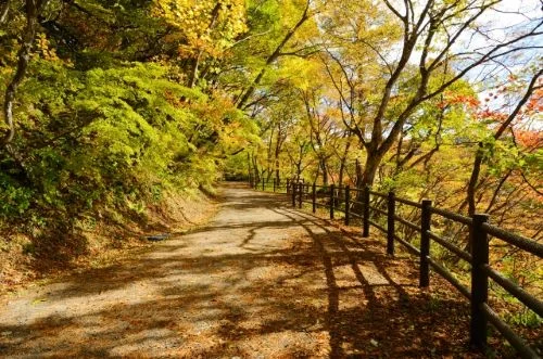 Ofukazawa Promenade in Autumn at Naruko Gorge in Osaki Miyagi Japan