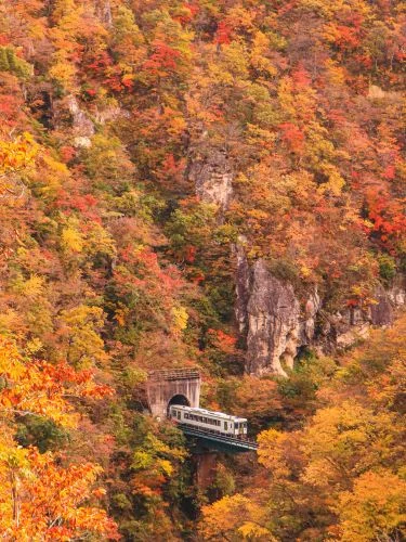 The view of the JR Rikuu East Line train emerges from the Naruko Tunnel
