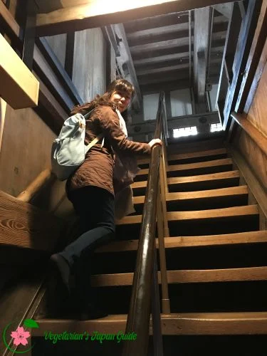 Climbing Himeji Castle's 45 Degree Steep Staircase